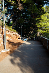 Nature in Montenegro