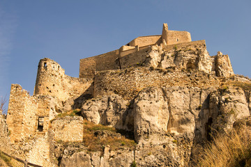 Morella