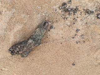 footprints in the sand