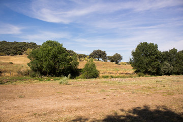 Camino de tierra en el campo