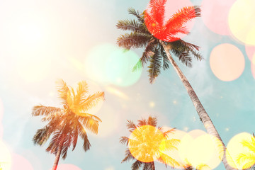 Fototapeta na wymiar Tropical palm tree on blue sky with colorful bokeh light abstract background. Summer nature season and travel holiday concept.