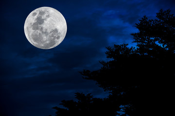 Naklejka na ściany i meble Full moon on blue sky with silhouette tree at night.
