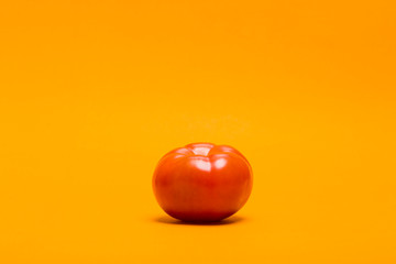 Red tomato on yellow background