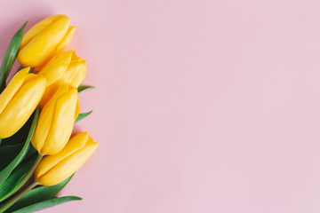 Tender yellow tulips on pastel pink background. Greeting card for Mother's day.