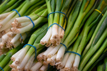 Green spring onions on sale on a farmer's market stall in the UK