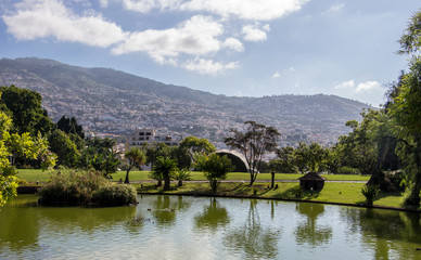 Panorama of the gardens in Funchal City on Island of Madeira