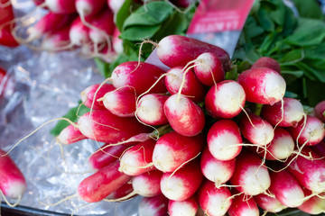 Fresh radishes on sale on a farmers market's stall in the UK