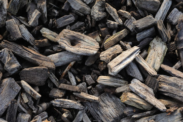 Wood chips in different sizes and forms laying as an walking path. The wood chips are already influcende by the environment therefore they have soft edges and different brown tones 