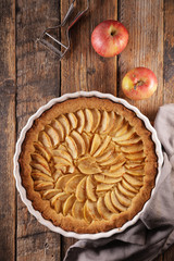 homemade gourmet apple pie