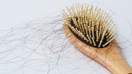 Hair loss, Solutions for hair loss,Hair loss on comb,on white background.