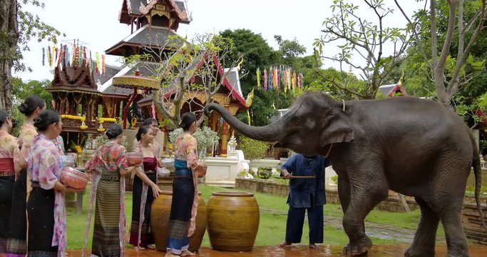 The summer holiday water festival in april the people celebrate traditional asian thai songkran the beautiful women and men smiling splash water with hapiness.