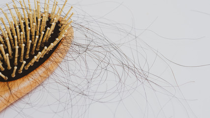 Hair loss, Solutions for hair loss,Hair loss on comb,on white background.