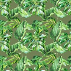 Watercolor seamless pattern, tropical leaves, watercolor painting, botanical illustration, floral design, banana palms, strelitzia, monstera. Fabric wallpaper print texture.