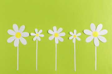 paper daisy on a green background