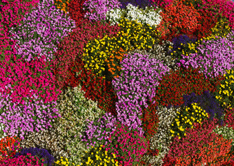 Fototapeta na wymiar Flowers texture background