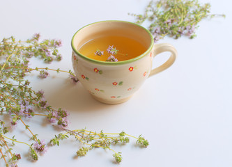Thyme tea and thyme leaves. Infusion made from thyme leaves. Medicinal herb Thymus vulgaris. The concept of healthy nutrition.