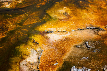 Close up of the limestone pattern of the Pump Geyser, Yellowstone