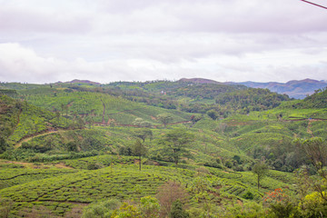 Fototapeta na wymiar A beautiful landscape view of a hilly region with lush green plains