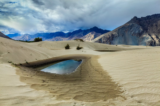 Sand dunes in Himalayas. Hunder, Nubra valley, Ladakh. India