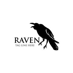 raven logo icon vector design template