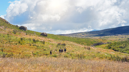 Group of hikers going through sun lit valley during descent from pic Boby in Andringitra national park. View from behind, no persons recoginizable