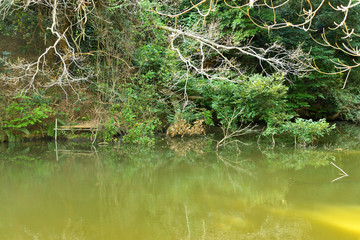 池　神奈川県三浦市南下浦の風景