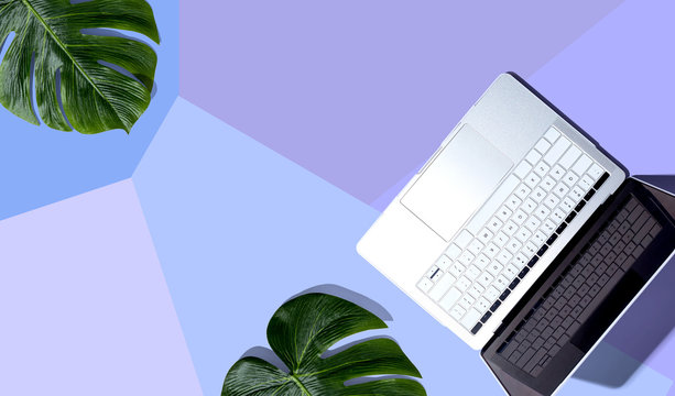 Laptop Computer With Tropical Plants - Flat Lay