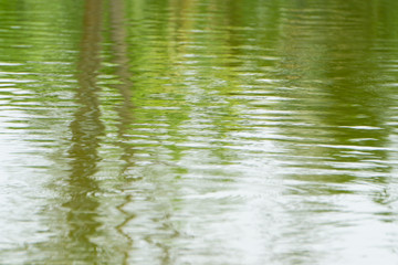 Waves and reflections of trees on the water surface