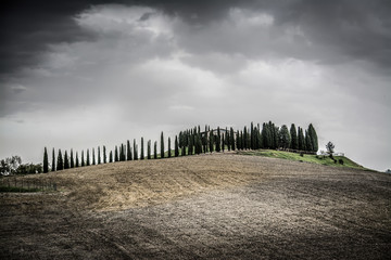Cypresses on a small hill under a cloudy sky in Tuscany