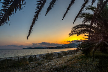 Fototapeta na wymiar Palm tree by the sea in Maria Pia beach at sunset
