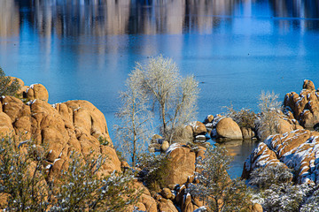 Fototapeta na wymiar A tree between the rocks at Watson Lake with blue water in the background.