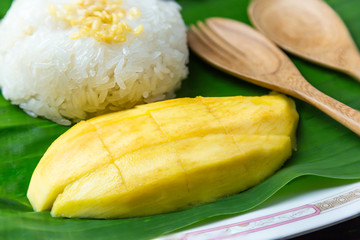 Mango sticky rice on a plate with serving