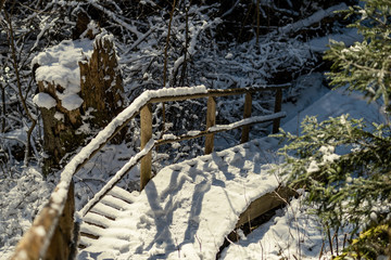 snowy pathway for walking in forest in winter