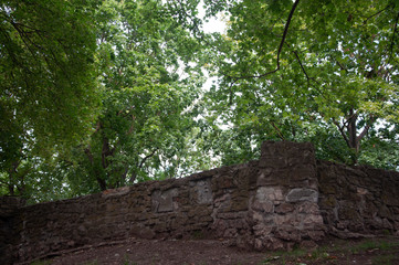stairs in the garden