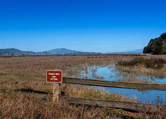 Salt Marsh at China Camp State Park, California, USA, on a blue sky and cloudless day with the sign...
