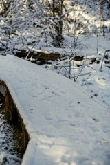 snowy pathway for walking in forest in winter