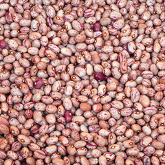 background of beans