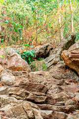 Stacked stone paths Can climb to the top of the mountain in the forest