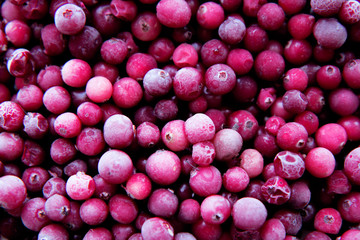 Frozen cranberry. Top view