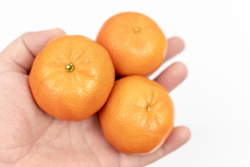 Tangerines In The Hand Above White Background