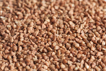 Image of buckwheat groats with blurred foreground and background