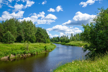 Nice landscape in summer. A small river in the village, surrounded by lush bushes and young forest along the coast
