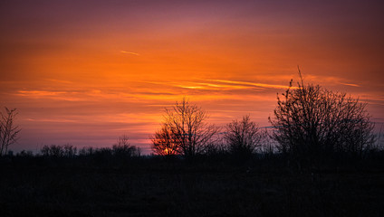 Fototapeta premium Sunset light with Tree branch frame in the golden hour.