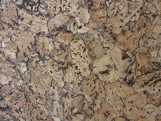 Natural wooden pith a texture a beige background