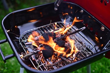 Garden grill with burning wood and charcoal.