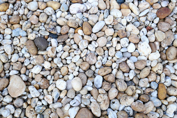 white stone background. pebbles on the beach