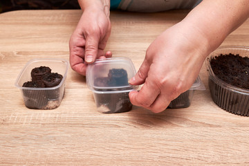 Fototapeta na wymiar Seeds of plants and flowers in a transparent plastic box container for seedlings with woman's hands. Seeds of tomato and pepper and flowers close up. woman's hands cover a container with seeds