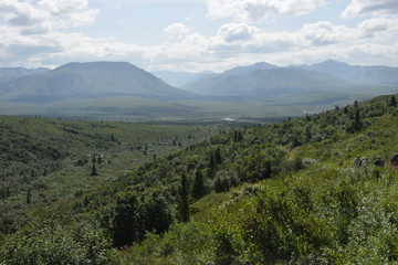 denali park