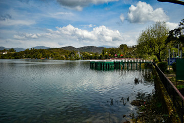 Fototapeta premium jezioro w parku