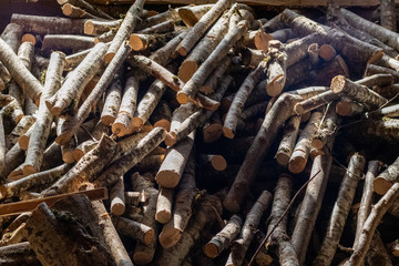 unorganized pile stack of wood